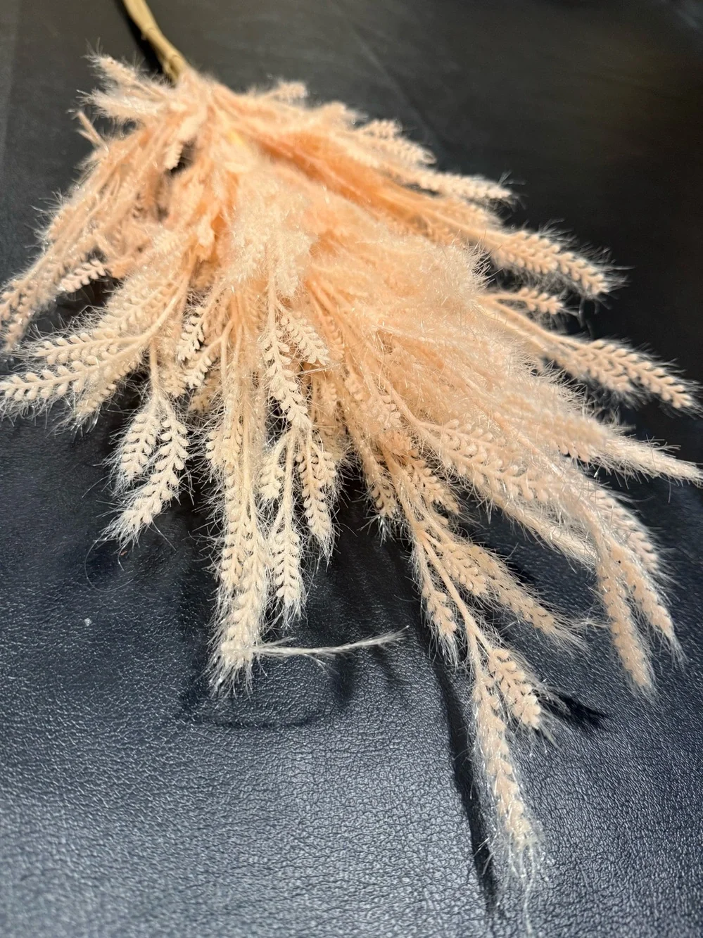Threshold Dried Wheat Stem Bundle - Peachy Beige (Include 2 Stems) NWT